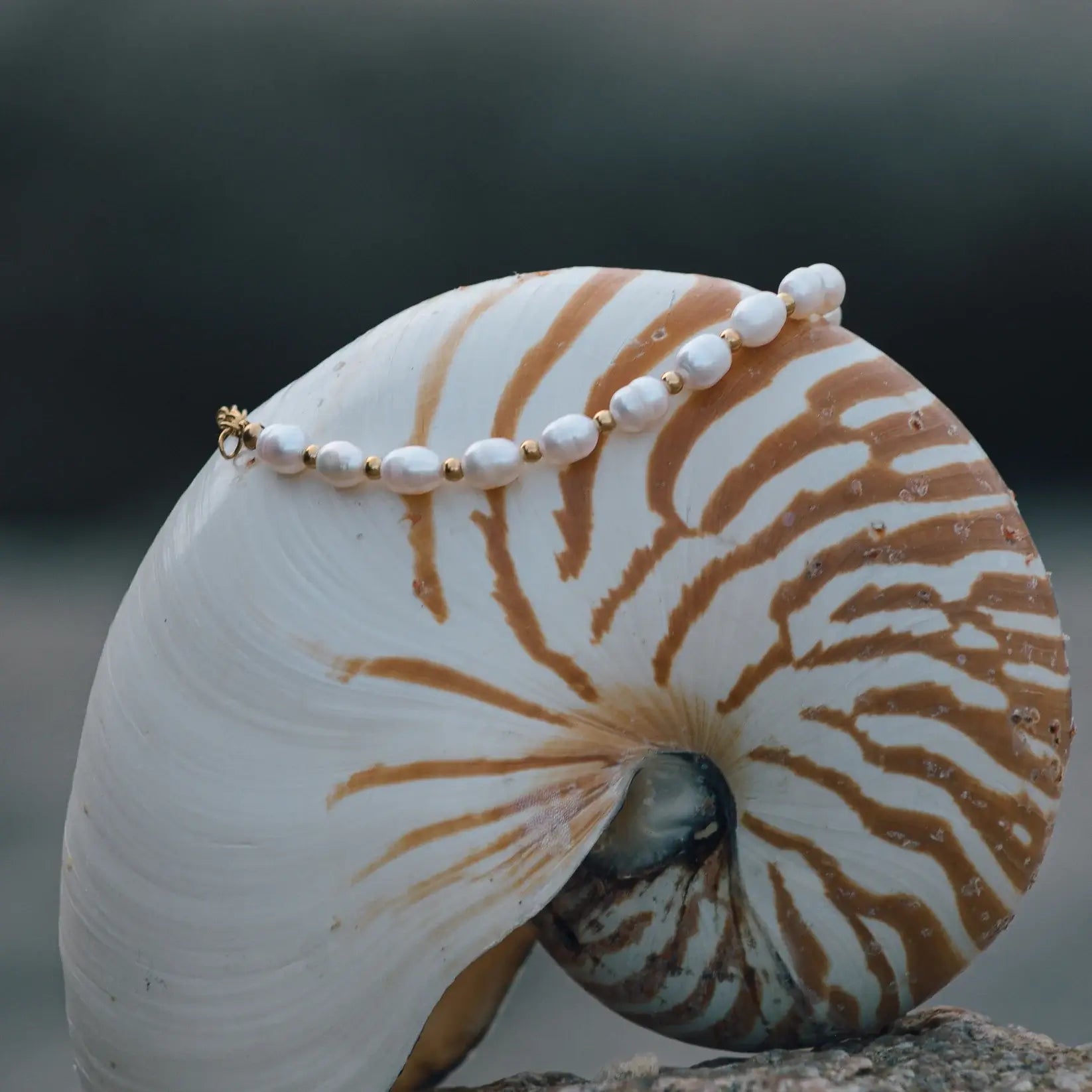 Pulsera Clásica de Perlas Naturales (Chapada en Oro)