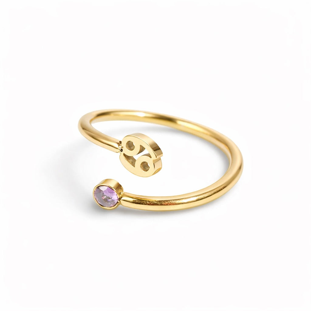 Anillo Zodíaco (Chapado en Oro 18K)